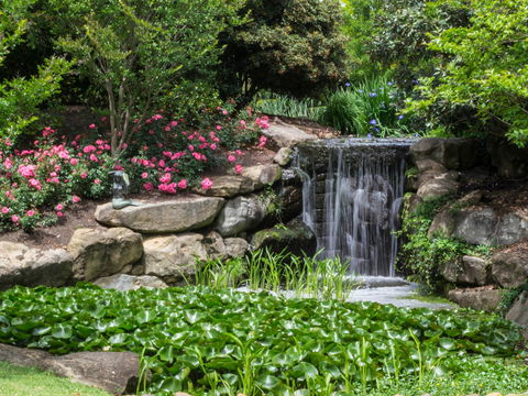 Spring Time At Hunter Valley Gardens - Accommodation BNB 1