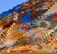 The Redback - Accommodation BNB