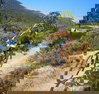 TreX Cross Triathlon Series  Snowy Mountains - Accommodation BNB