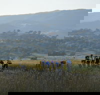 Tumut Cycle Classic - Accommodation BNB