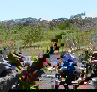 Yoga in the Vines - Accommodation BNB