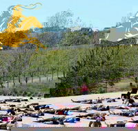 Yoga in the Vines - Accommodation BNB