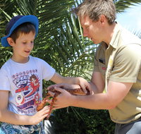 Zoocation at the National Zoo  Aquarium - Accommodation BNB