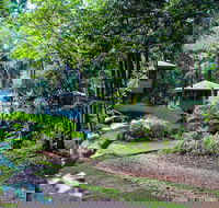 Ferntree Rainforest Lodge - Accommodation BNB