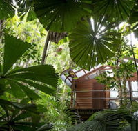 Daintree Wilderness Lodge - Accommodation BNB
