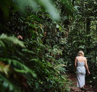 Daintree Ecolodge - Accommodation BNB
