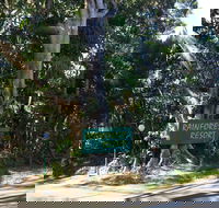 Byron Bay Rainforest Resort - Accommodation BNB
