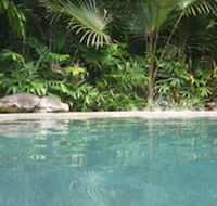 Daintree Rainforest Retreat - Accommodation BNB
