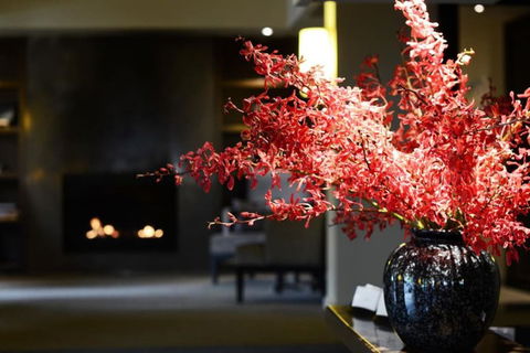 The Lyall Hotel And Spa - Accommodation BNB 3