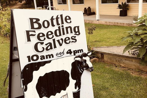 Bodalla Dairy Shed Guest Rooms - Accommodation BNB 6