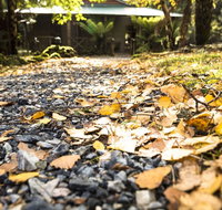 Cradle Forest Inn - Accommodation BNB