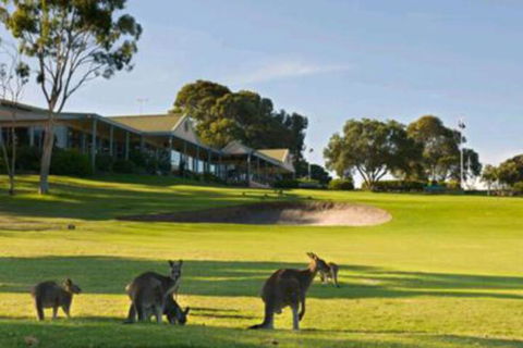 Early Settlers Motel Tocumwal - Accommodation BNB 6