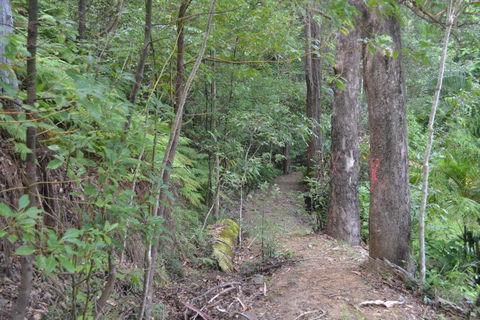 Turmeric Gardens - Accommodation BNB 5