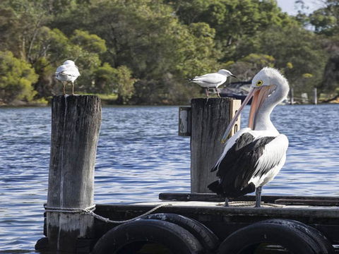 Mandurah Riverfront Holiday Rental - Accommodation BNB 4
