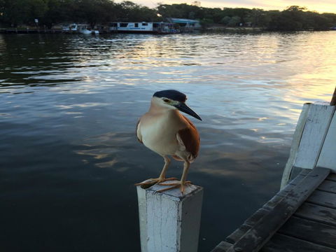 Mandurah Riverfront Holiday Rental - Accommodation BNB 1