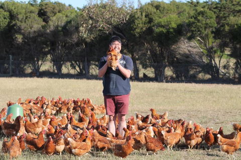 Bimbadeen Phillip Island Farm Retreats - Accommodation BNB 4