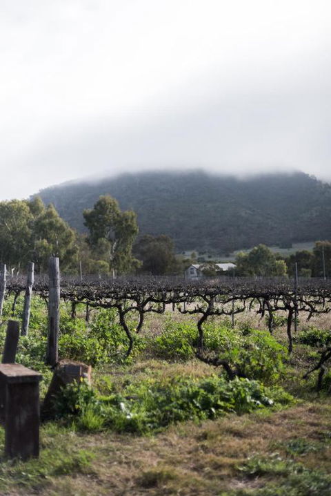 Hope Farm Guesthouse - Accommodation BNB 2