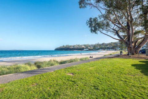 Apartment On Kingston Beach - Accommodation BNB 0