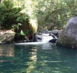 Daintree Secrets Rainforest Sanctuary - Accommodation BNB