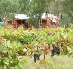 Fergies Hill Spa Cottage at Granite Ridge Wines - Accommodation BNB