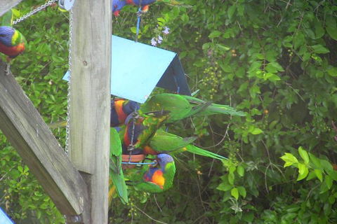 A Lakehouse Escape - Accommodation BNB 4