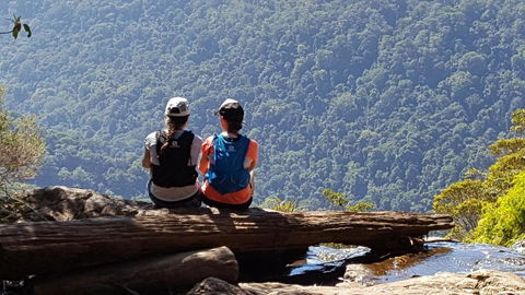 Buddha Cottage Springbrook - Accommodation BNB 3