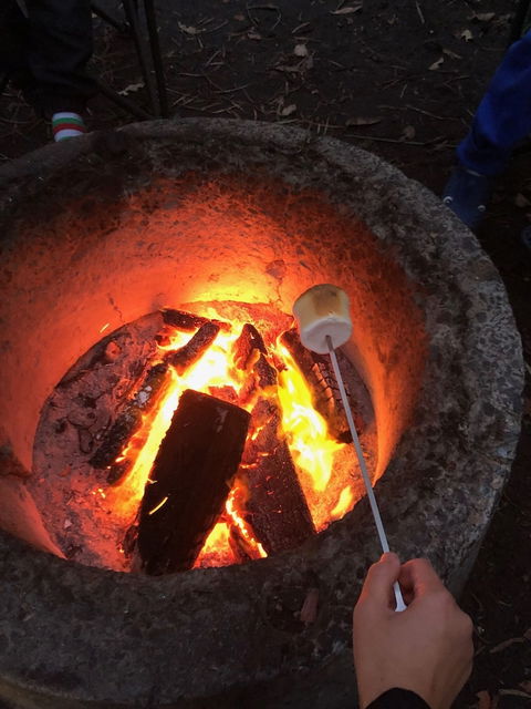 WA Wilderness - Accommodation BNB 1