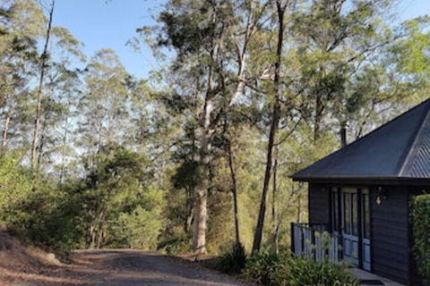 Barrington Tops Nest - Accommodation BNB 0