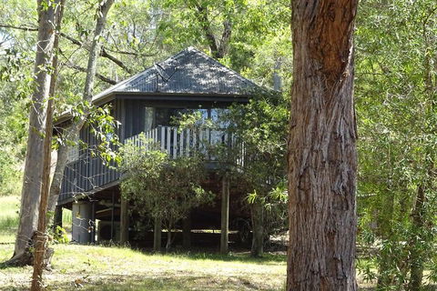 Barrington Tops Nest - Accommodation BNB 2