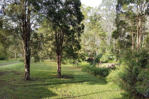 Barrington Tops Nest - Accommodation BNB 1