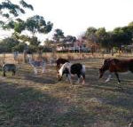 Heartland Hideaway - Accommodation BNB