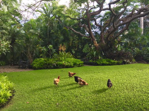 Eden Rest - Accommodation BNB 1