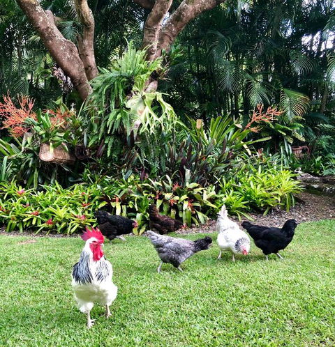 Eden Rest - Accommodation BNB 3