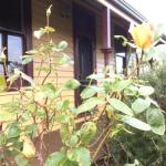 Albion Cottage - Accommodation BNB 0