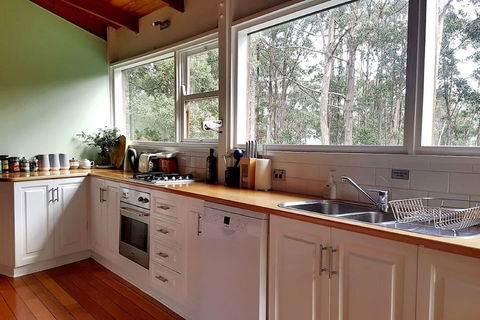 Eaglehawk Rainforest Retreat - Accommodation BNB 3