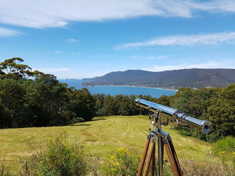 Eaglehawk Rainforest Retreat - Accommodation BNB 0