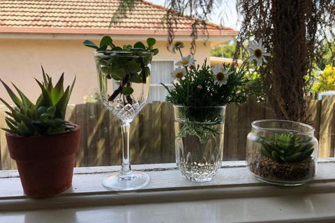 Growse House Yarram - Accommodation BNB 3