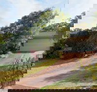 Wildflowers at Fingal Bay - Accommodation BNB