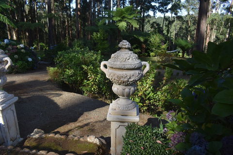 Forest Edge Cottage At Merrow Cottages - Accommodation BNB 2