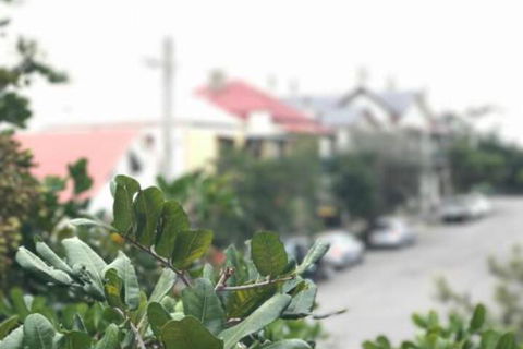 Zaara - Accommodation BNB 4