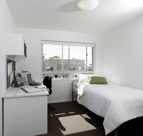 Unilodge At UC Short Stays - Accommodation BNB 4