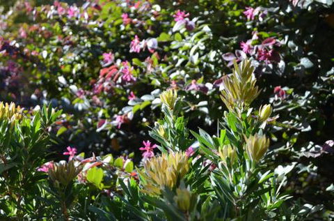 A Bach At Bright Bright VIC - Accommodation BNB 4