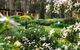 Naturescape - thumb 4