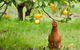 Naturescape - thumb 3