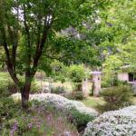 Naturescape - Accommodation BNB 0