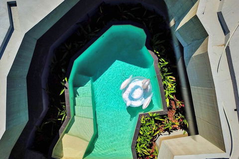 Alkira Award Winning Luxury Holiday Home - Accommodation BNB 6