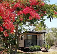 Mt Larcom Tourist Park - Accommodation BNB