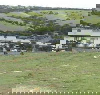 Waves and Wildlife - Accommodation BNB