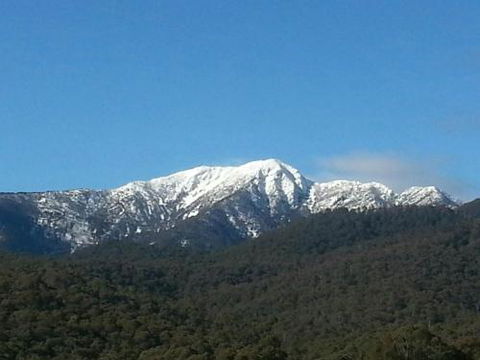 Alps Lodge - Accommodation BNB 4