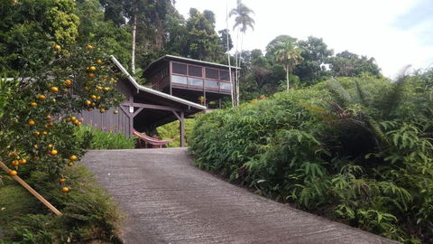 Daintree Holiday Homes La Vista - Accommodation BNB 4